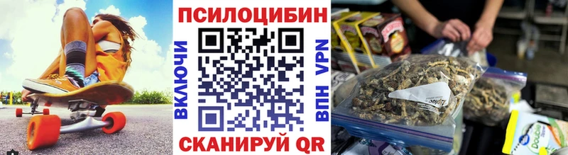 Купить  Вязьма  Галлюциногенные грибы мицелий 